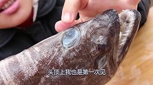 胖妹搞了个稀罕货，鱼眼长在头上的鱼吃起来更香，这次有口福了
