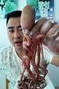 吃货吃八爪鱼，有大米也真香