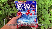 野钓天下这款饵料好不好用？水下摄像机为你呈现诱鱼效果！