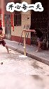 金刚腿太厉害，这才是真的实力啊