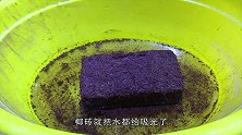 实拍椰砖的吸水性有多强，一大桶水都被吸干，这是什么原理