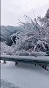 下雪啦！来利川看雪景
