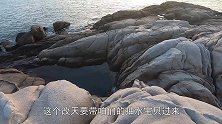 偷情岛海货成对出现，阿平连抓海螺鲍鱼，礁石洞轻松抓一只大龙虾