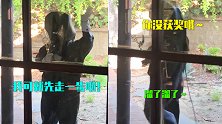 笑出声！当艾美奖提名者没获奖时 “奖杯”打个招呼拔腿就跑