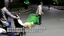 保安校园捞狗却因狗子太重出现搞笑一幕 网友抓了但又没完全抓住