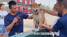 消防员带狗狗大玩“铁狗三项”，狗子眼神幽怨：差点一下给我送走