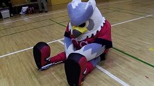 J联赛吉祥物卖萌日常 札幌冈萨多猫头鹰打羽毛球打到怀疑鹰生
