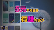 手机主题，一款主题，得赚你多少呀