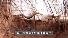 邯郸初中生被害案：尸体掩埋地坑深56厘米，目前未发现有成人参与作案