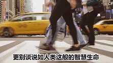 若地球失去引力5秒钟，将会变成咋样？结果你或许都想不到