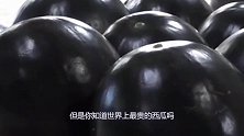 日本瓜农被气惨了，四万一个的天价西瓜，却在中国被贱卖3元一斤