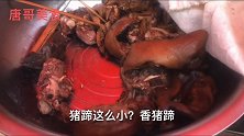 丰县农村最接地气卤菜摊，猪头肉22元一斤，好吃又便宜真香！