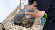 130买10颗生蚝4颗海螺，半吨做“烤生蚝”鲜嫩多汁味道好