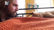 主人的反击！猫咪被“猫叫”吓醒后一脸懵逼 网友神配音：你完了