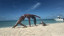 女瑜伽教练在海滩做瑜伽时被鬣蜥袭击，手指被咬伤