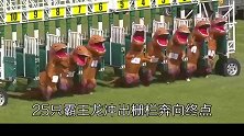 最奇葩的赛跑，你见过吗？