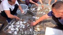 买梭子蟹不会挑？老渔民教你1招挑螃蟹，保准个个鲜肥，太香了