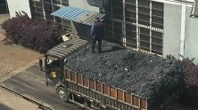 农村大叔收废铁屑，在上面用水管进行洒水，怕途中容易发生自燃！