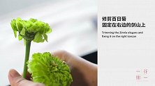 去年与今年，大概是一条枯藤的距离
