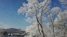 美若仙境！吉林松花江畔现30公里雾凇带