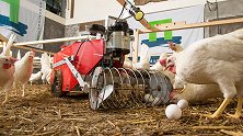 4个难得一见的农场黑科技，原来老外养牛养鸡都这么先进！