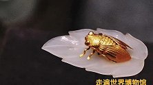 南京博物院镇院之宝——巧夺天工的“金蝉玉叶”