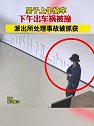 浙江嘉兴：男子上午偷车，下午出车祸被撞，派出所处理事故被抓获
