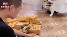主人干活没有胶带了，不用吩咐狗狗就去拿来，这狗没白养！