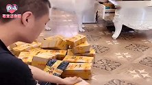 主人干活没有胶带了，不用吩咐狗狗就去拿来，这狗没白养！