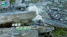 无严敏不极挑？刘宇宁“摘雪莲花事件”引众怒，网友：早该停播了