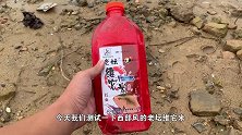 西部风爆款酒米，有时候也不一定好使，打窝二三十分钟还是冷清清