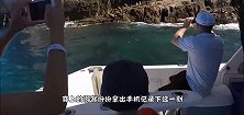 海狮跳到船上要吃的，小鱼看不上眼，就要吃大鱼