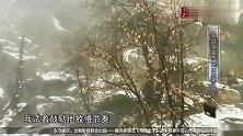越野千里：陶喆冰天雪地，勇登雪山，太惊险了