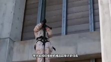 警察集体做俯卧撑，被警犬看到后，下秒请憋住别笑