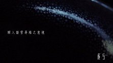 穿越近千年而来的油滴茶盏，带你领略璀璨如星河的世界