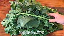 天冷了，不吃肉也要吃这菜，比芹菜营养，比萝卜便宜，全家都喜欢