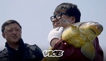 产自中国的高端鱼子酱 曾经只能贵族享用