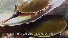 活了4亿多年，挺过了3次生物灭绝，最后却沦落拿来喂鸡！