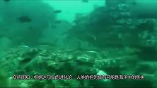 世界下,现存唯一生活在“海底的人类”,上了陆地会不舒服