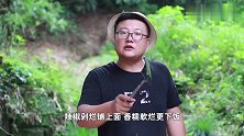 阿米做剁椒猪蹄，软烂可口，超级美味好吃