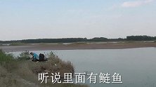 很多钓友感觉黄河没有鲢鱼，今天采用这种特殊钓法，钓到黄河鲢鱼
