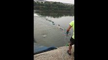 萌狮大赏 为了鱼差点掉下去，这种感觉你们懂吗
