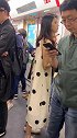 杭州地铁四号线，我得多努力才能有这样的女朋友？
