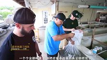 老外花2万多放生5000条小鱼，竟然只为当宠物！结果玩大了