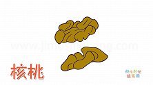 水果简笔画大全，画核桃仁简笔画