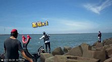 矶钓，肉粽区钓鱼，大咬狂拉，海钓场的感觉