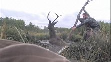 野外狩猎人看到被困的麋鹿，没有射杀，而是救助