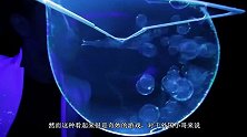 在零下26度环境下，能吹出什么泡泡？老外用手一戳太开心了！