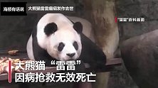 大熊猫雷雷癫痫发作去世