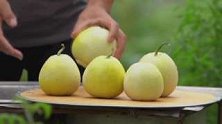 连皮到籽都能吃！“匠心农人”复原儿时味道
